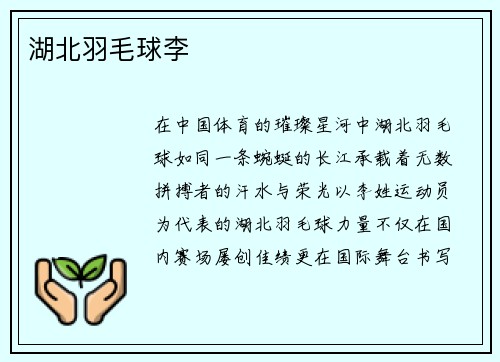 湖北羽毛球李